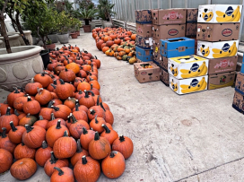 Halloween v Zoo Zlín - kompletní program