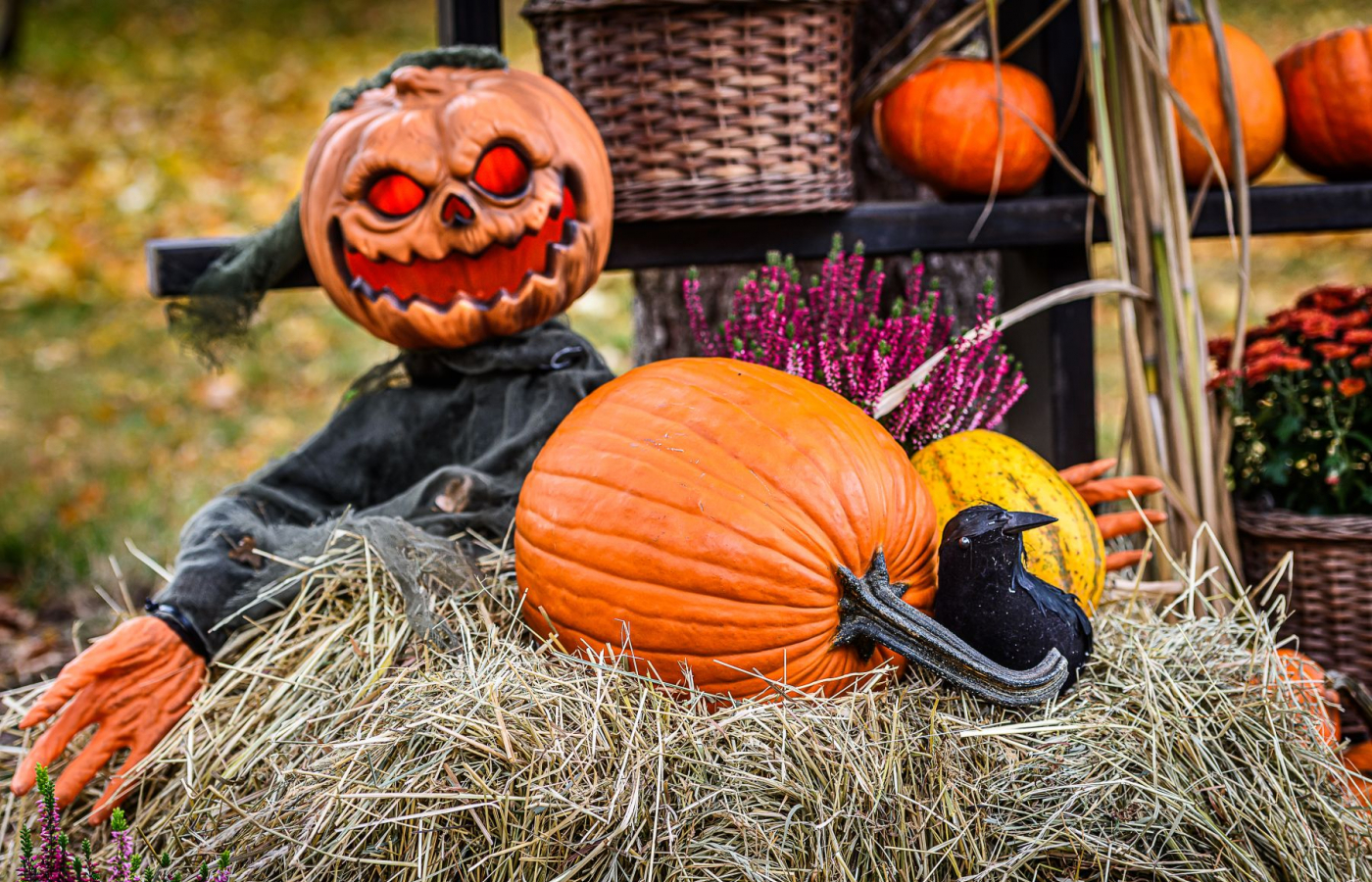 Halloween v Zoo Zlín - kompletní program