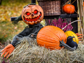 Halloween v Zoo Zlín - kompletní program