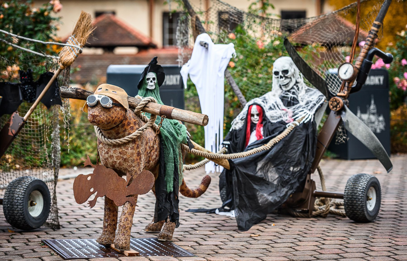 Halloween - program 28.10.