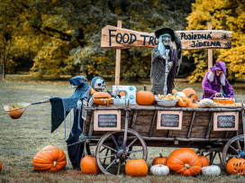 Halloween - program 28.10.