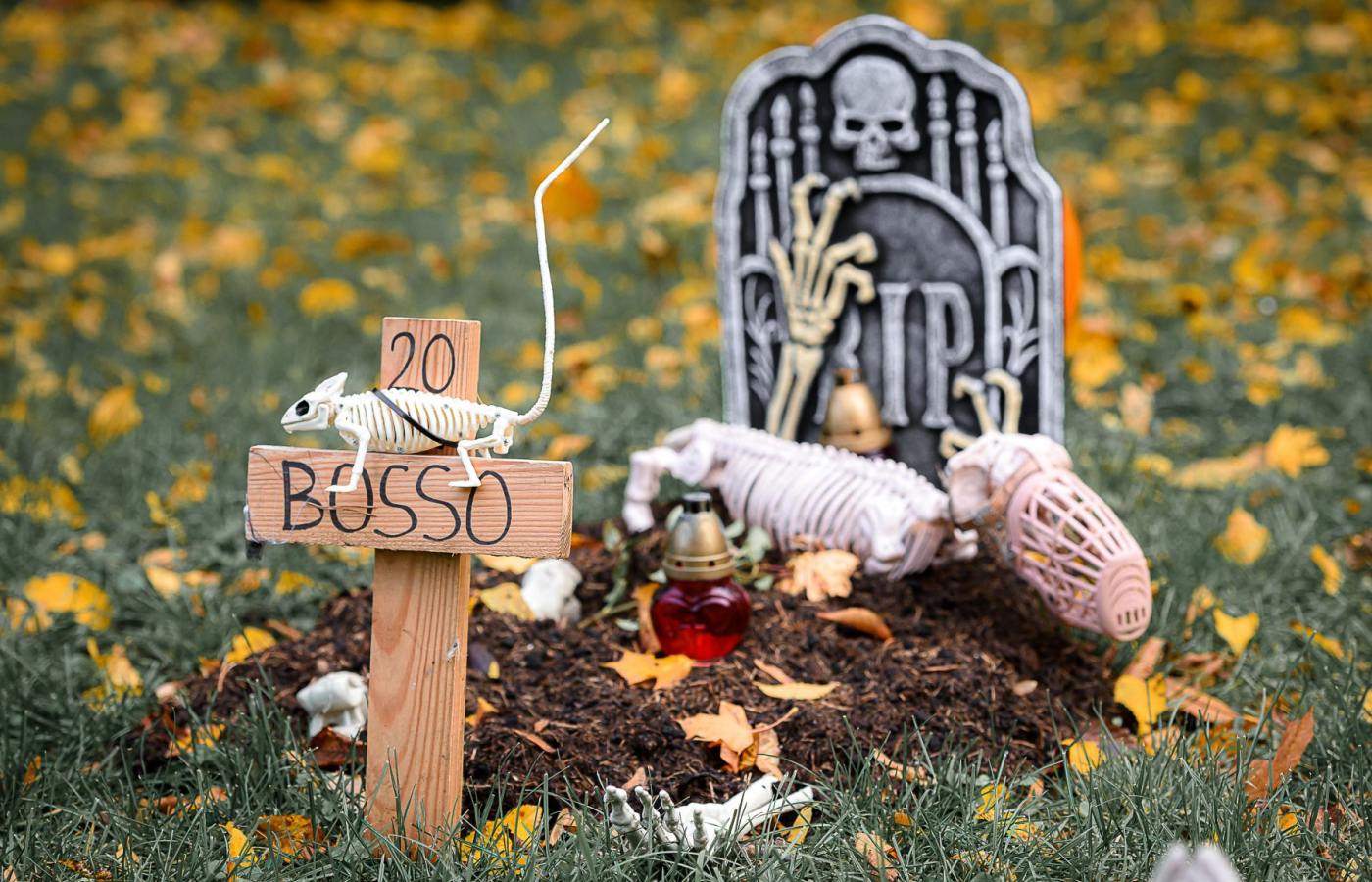 Halloween - program čtvrtek 29.10.
