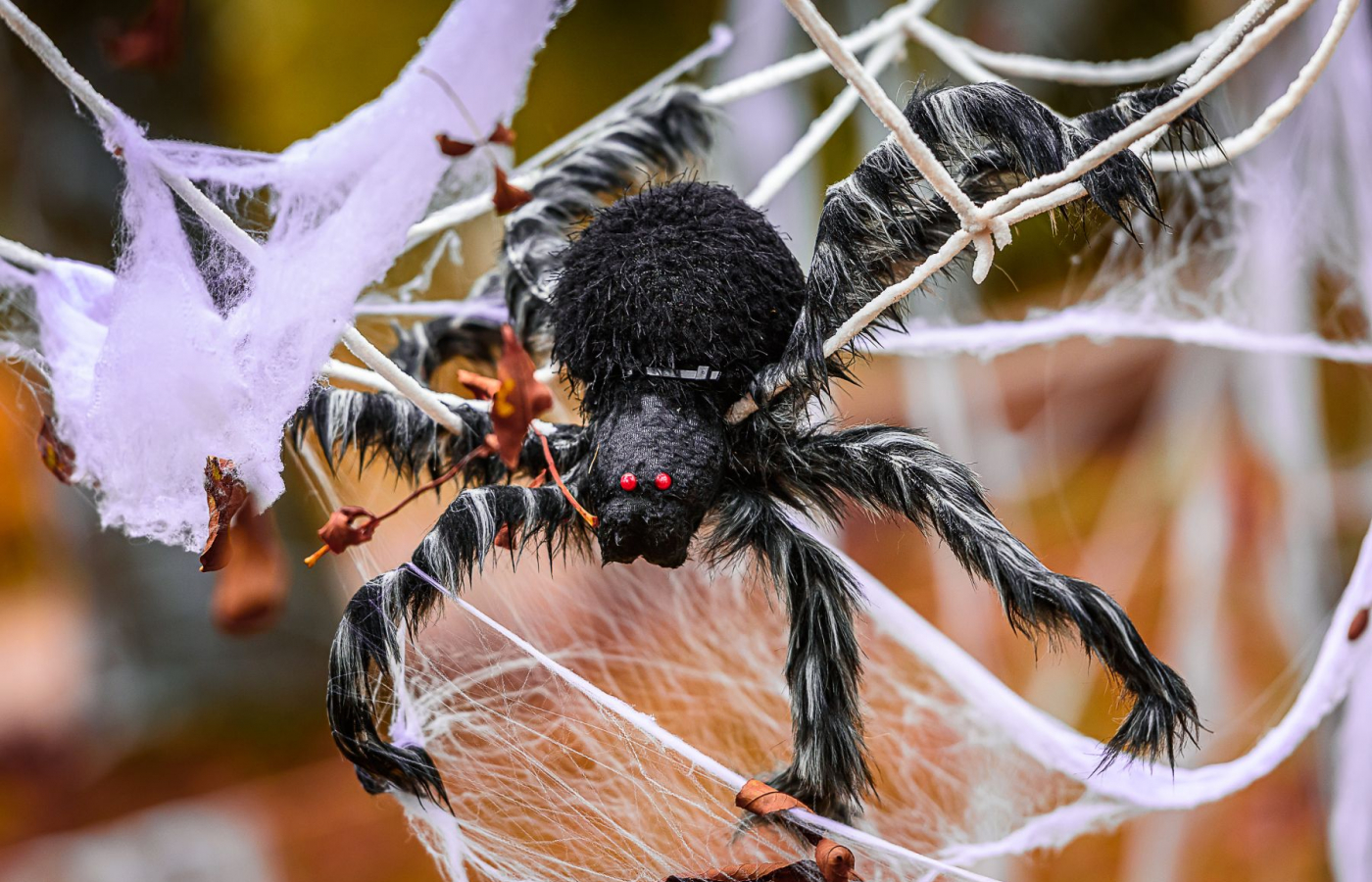Halloween - program čtvrtek 29.10.
