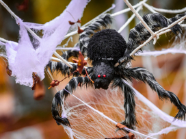 Halloween - program čtvrtek 29.10.
