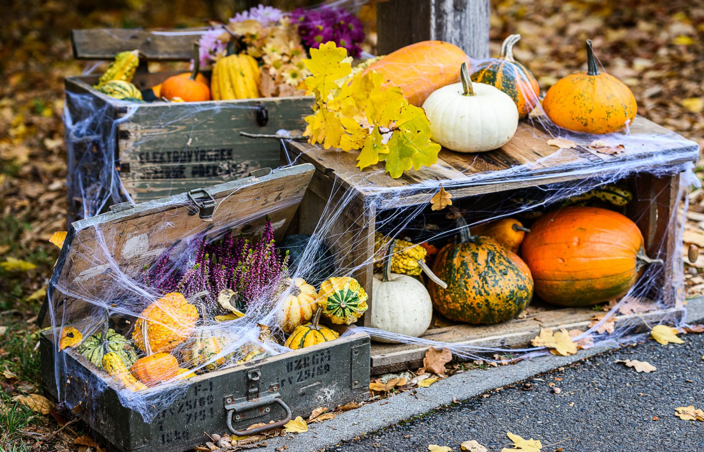 Halloween - program čtvrtek 29.10.