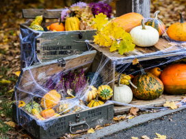 Halloween - program čtvrtek 29.10.
