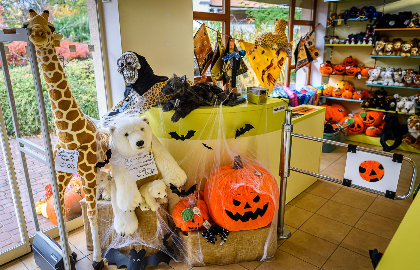 Halloween - program neděle 1.11.