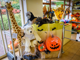 Halloween - program neděle 1.11.