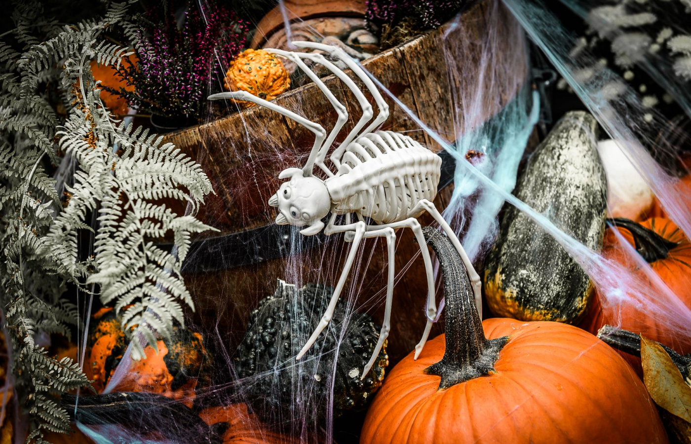 Halloween - program neděle 1.11.