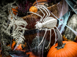 Halloween - program neděle 1.11.