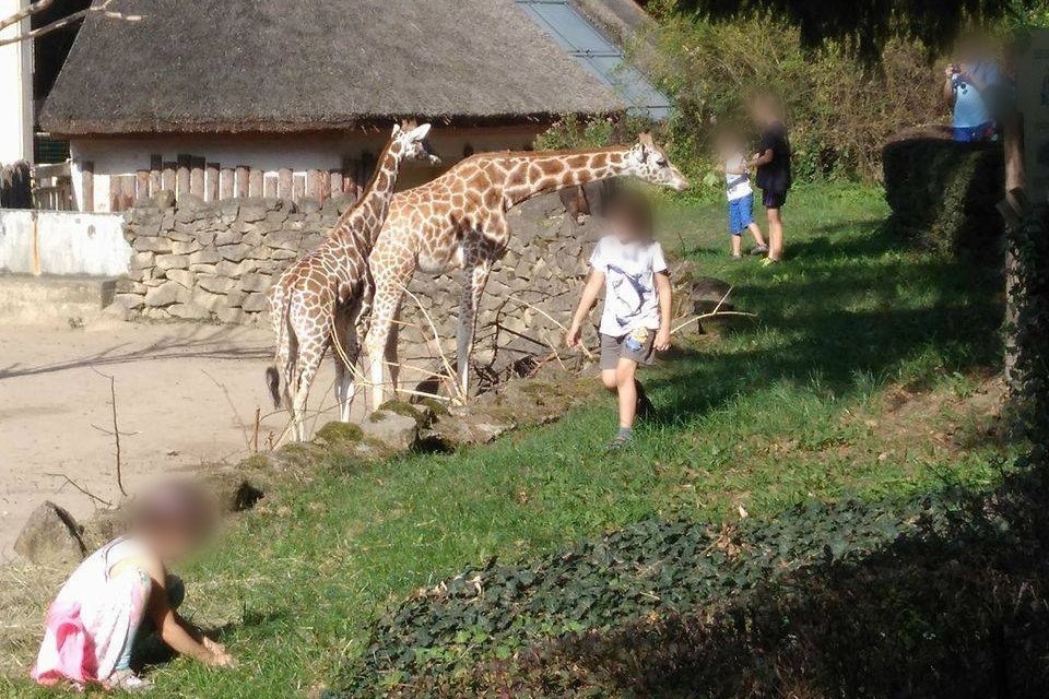 Lidé porušují zákazy vstupu