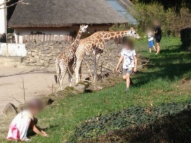 Lidé porušují zákazy vstupu