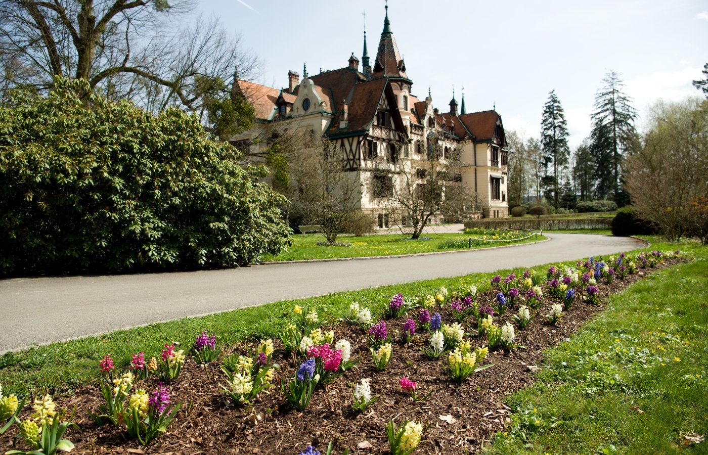 Zoo rozzářily jarničky