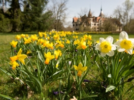 Zoo rozzářily jarničky