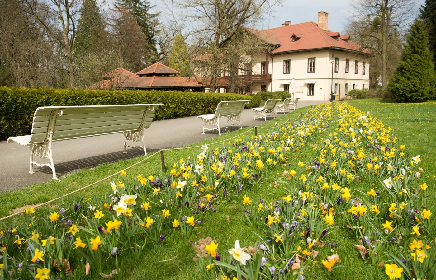 Zoo rozzářily jarničky