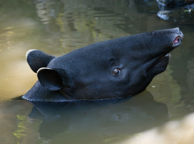Novinky ZOO Zlín#4